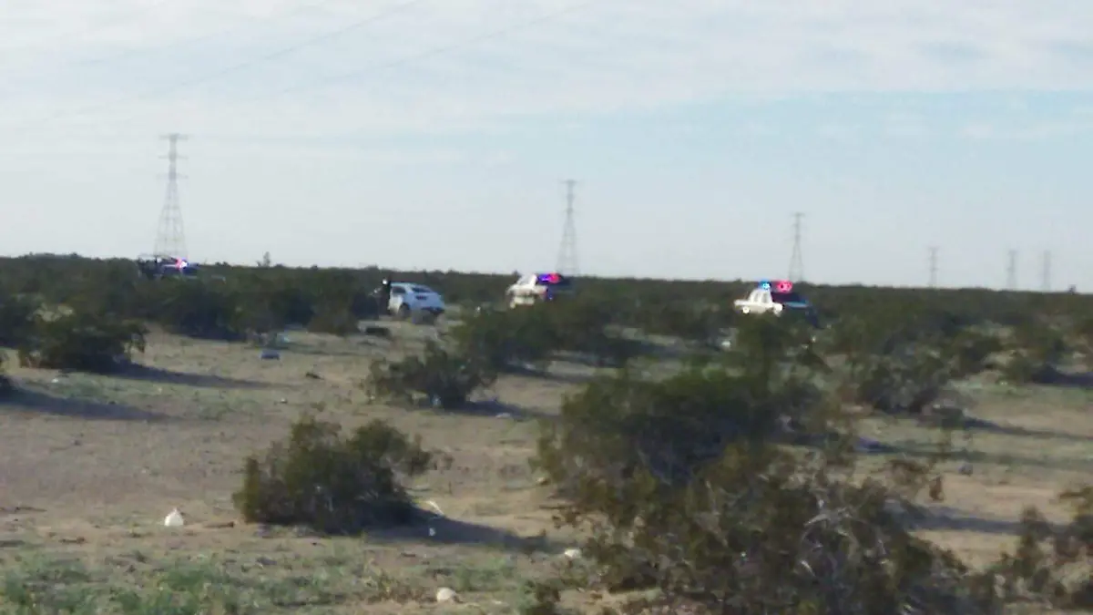 LO DEVORARON CANES AL HOMBRE HALLADO EN LAS  ANTENAS