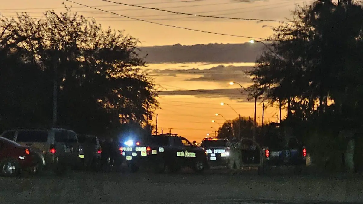 WhatsApp Image 2025-12-31 at 09.53.05