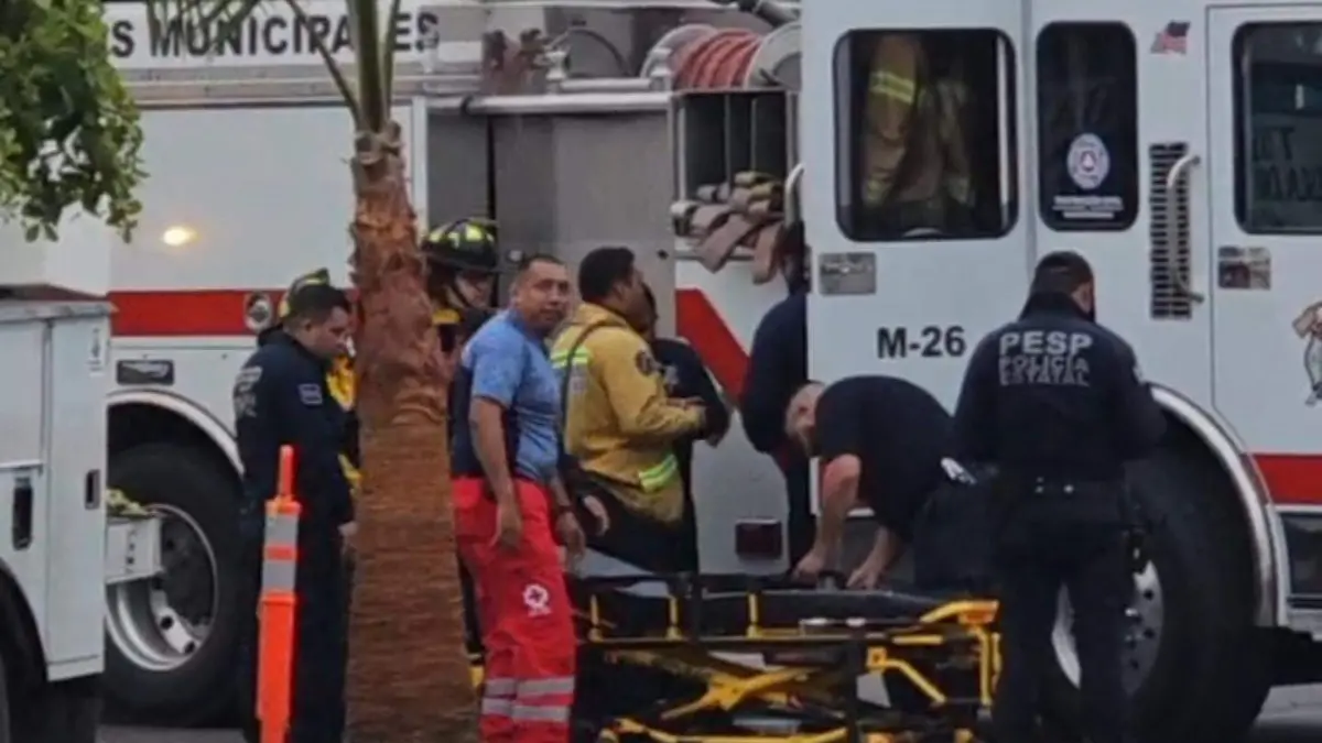 WhatsApp Image 2025-12-31 at 16.24.47