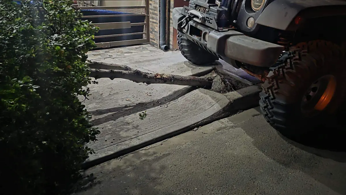 WhatsApp Image 2026-01-01 at 10.28.26