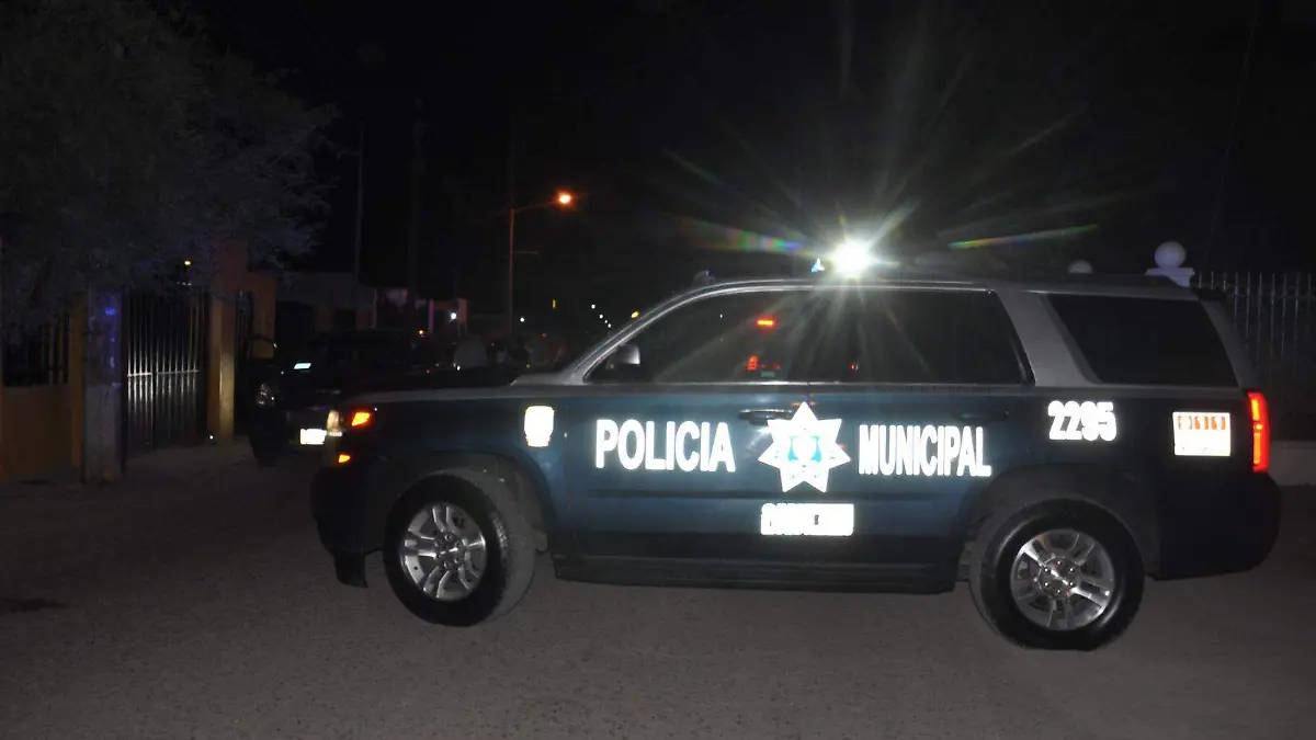 WhatsApp Image 2026-01-02 at 10.32.00