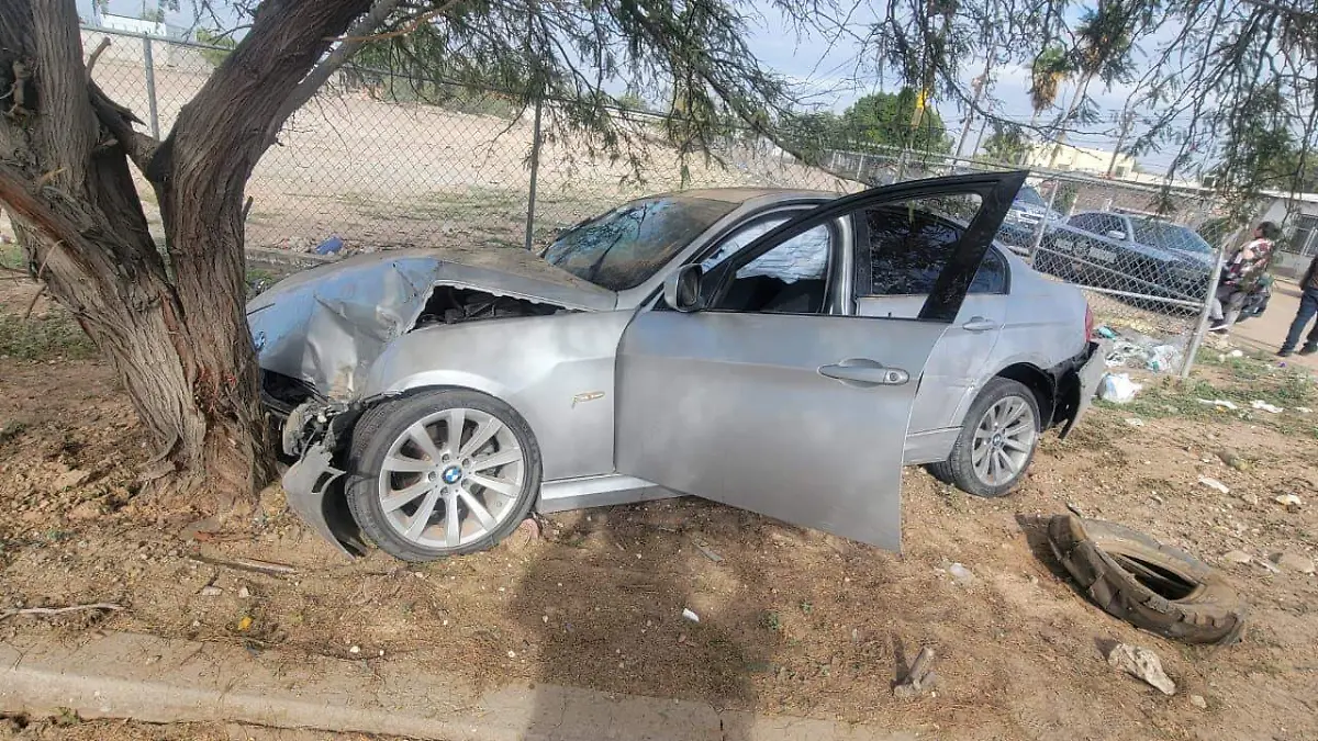 WhatsApp Image 2026-01-02 at 12.18.04