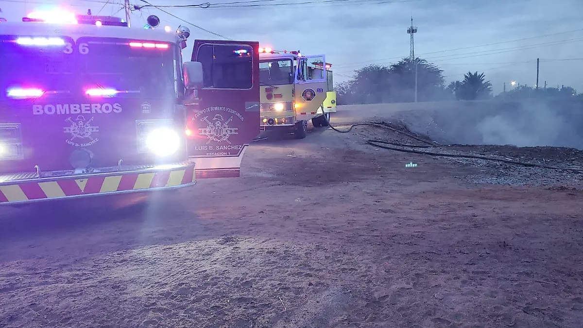 WhatsApp Image 2026-01-02 at 12.20.51