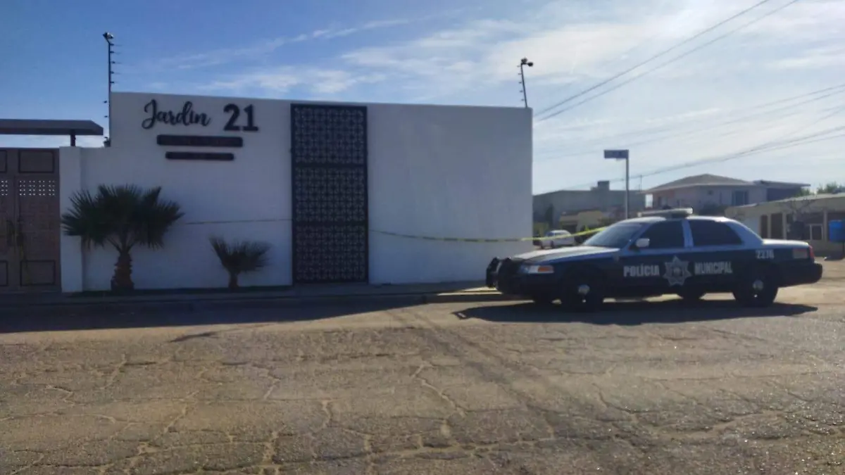 WhatsApp Image 2026-01-03 at 12.09.14