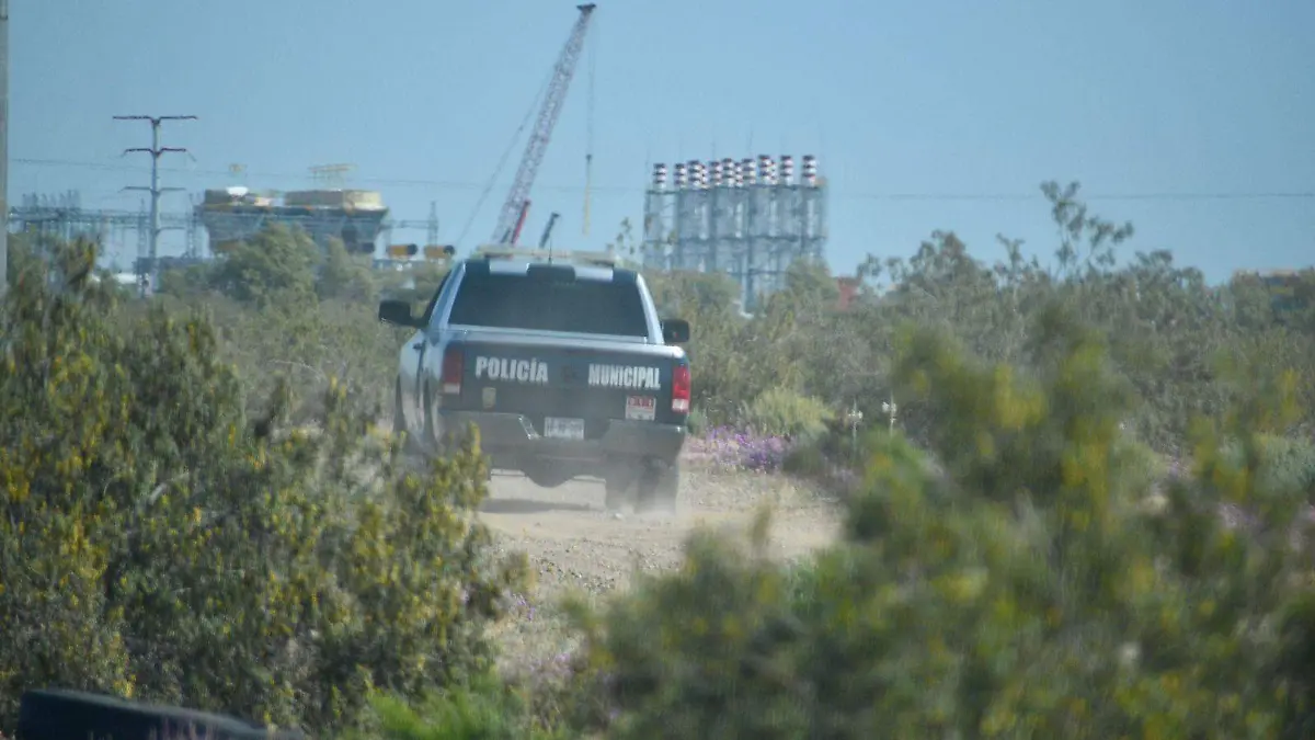 76a557e3-c847-4da7-ad05-2e6ef0c126b6