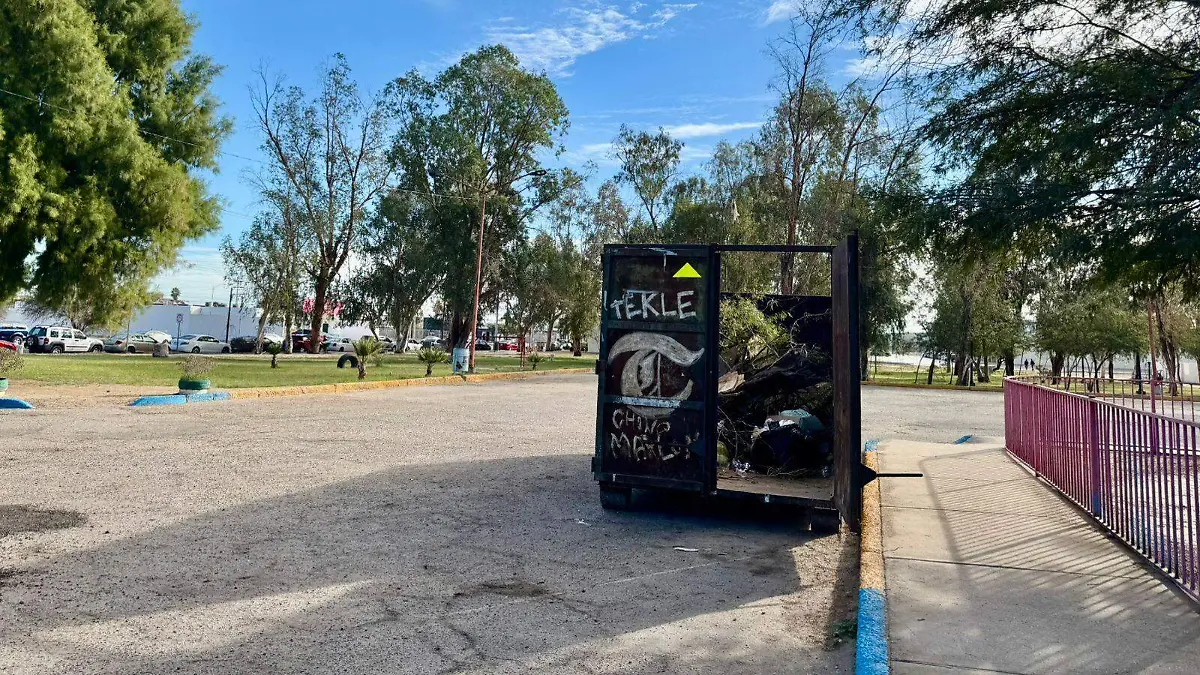 Reciclaje de pinos (4)