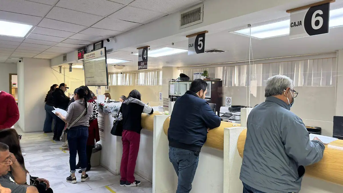 WhatsApp Image 2026-01-05 at 1.45.40 PM