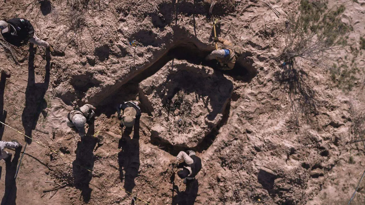 WhatsApp Image 2026-01-11 at 09.58.19