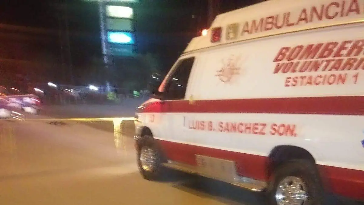 WhatsApp Image 2026-01-11 at 11.58.50