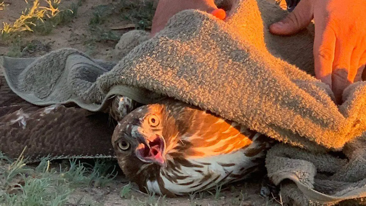 WhatsApp Image 2026-01-11 at 11.59.46