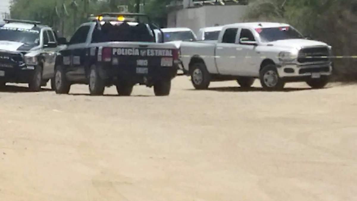 WhatsApp Image 2026-01-13 at 18.41.57