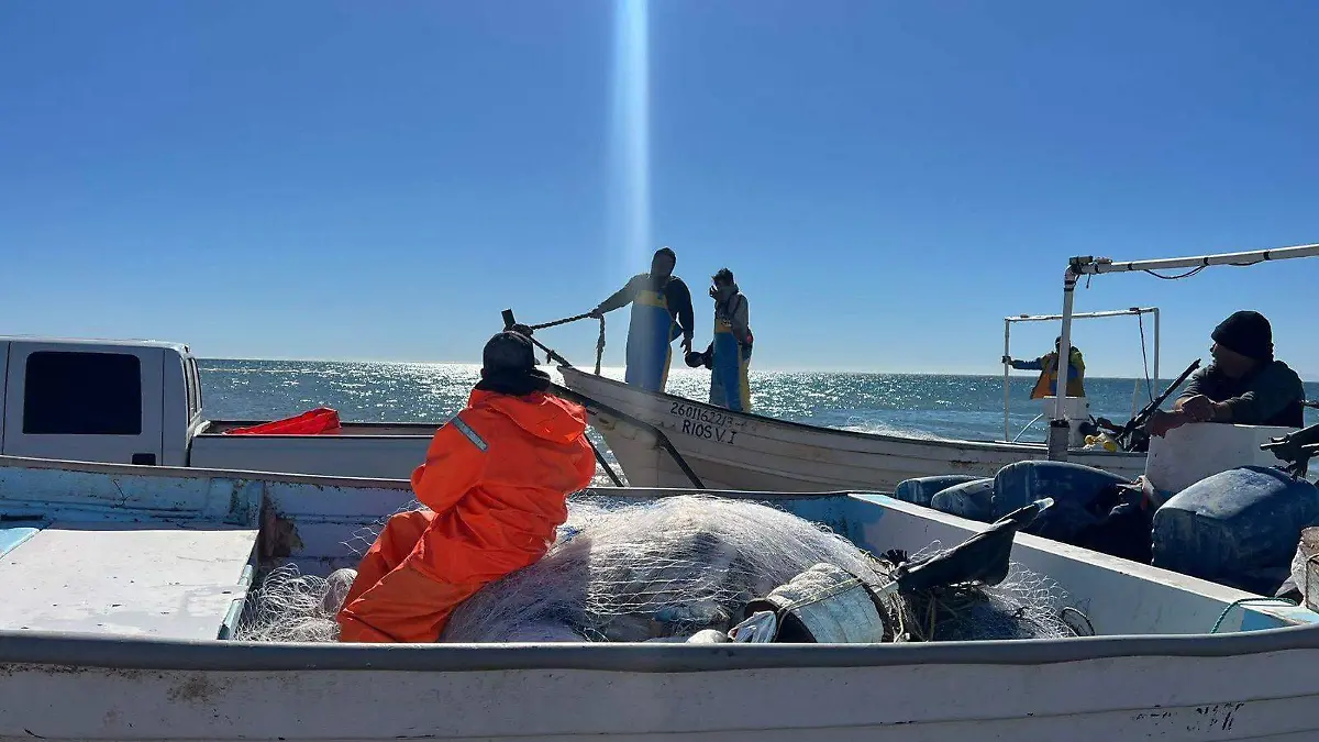 Primeras curvinas (1)