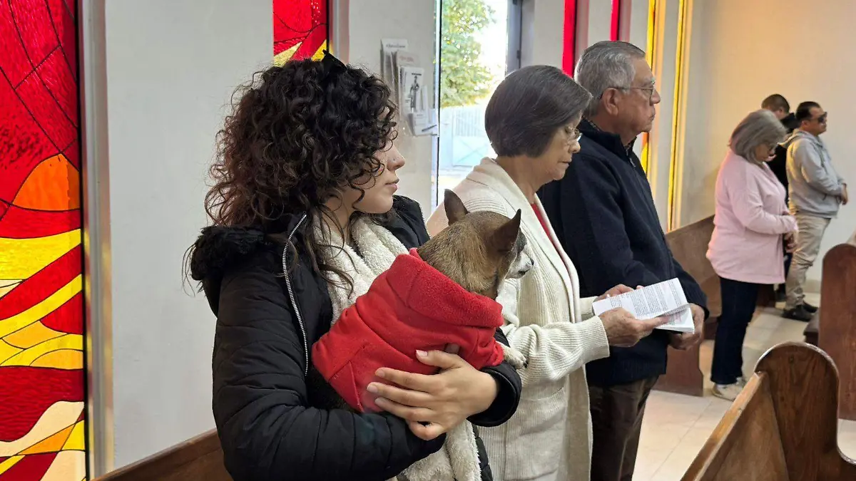 Misa de bendición de las mascotas VF (2)