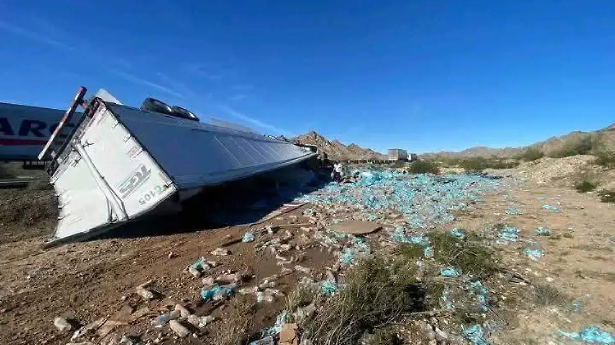 WhatsApp Image 2026-01-17 at 5.01.07 PM