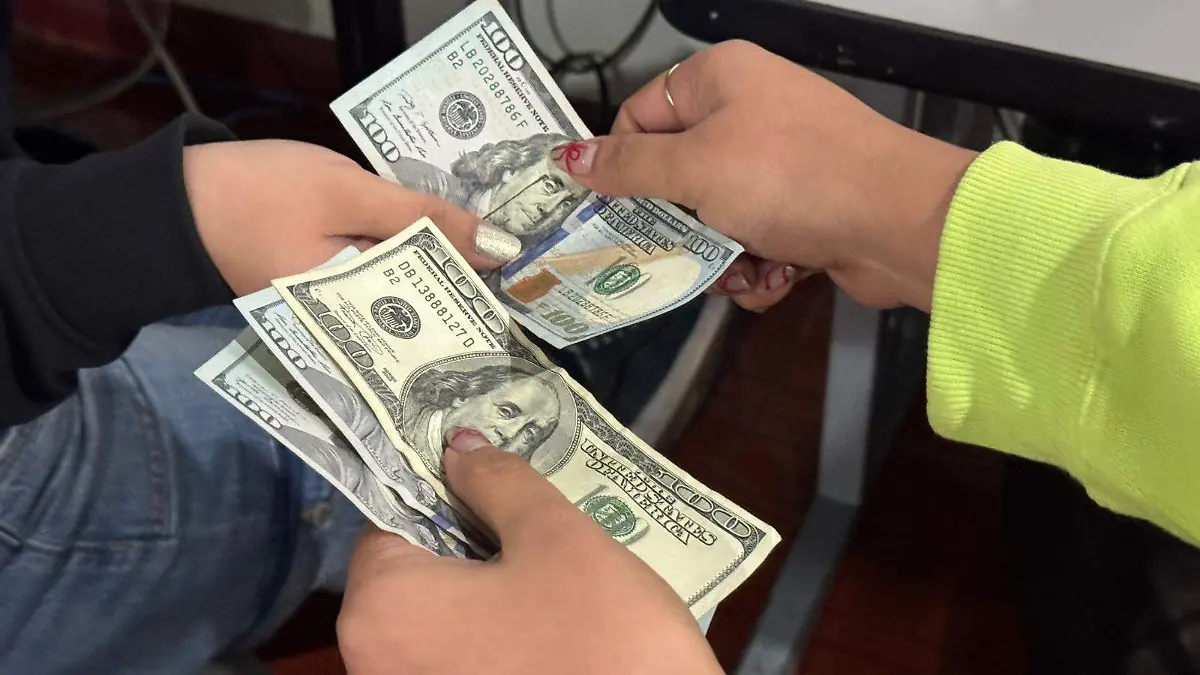 WhatsApp Image 2026-01-20 at 4.54.03 PM