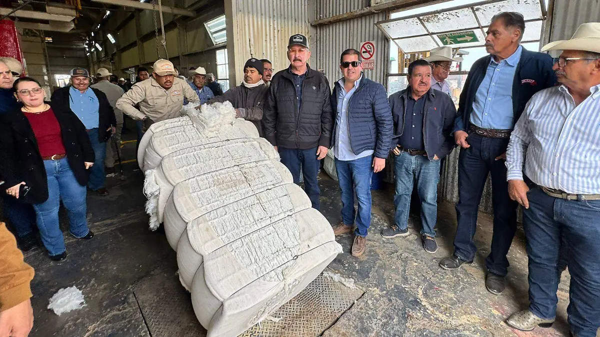 Primera paca de algodón VF (7)