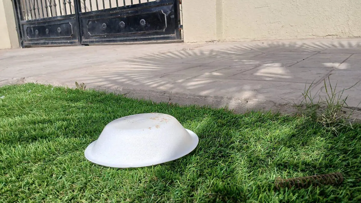 reto un dia sin unicel (3)