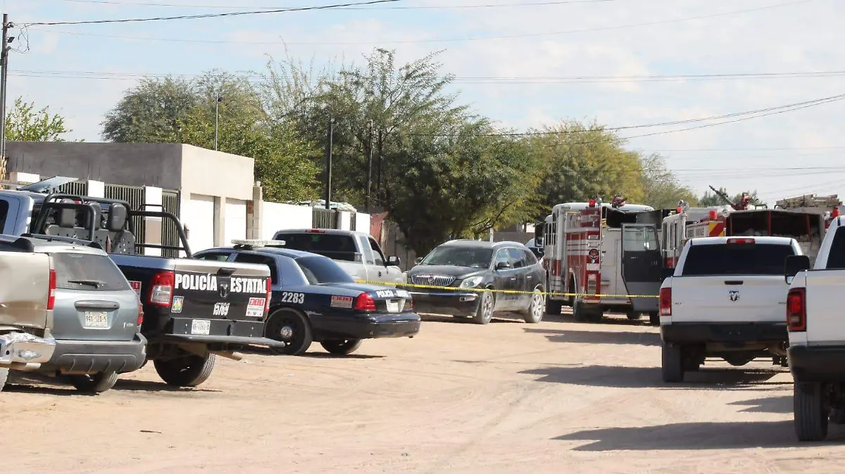 WhatsApp Image 2026-01-22 at 20.32.07