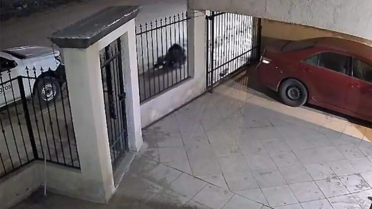 Captura de pantalla 2026-01-23 134416