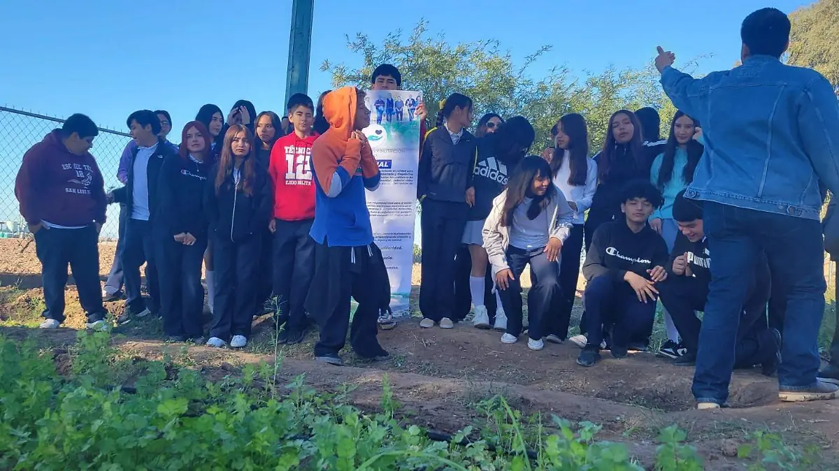 impulsan huertos escolares (3)