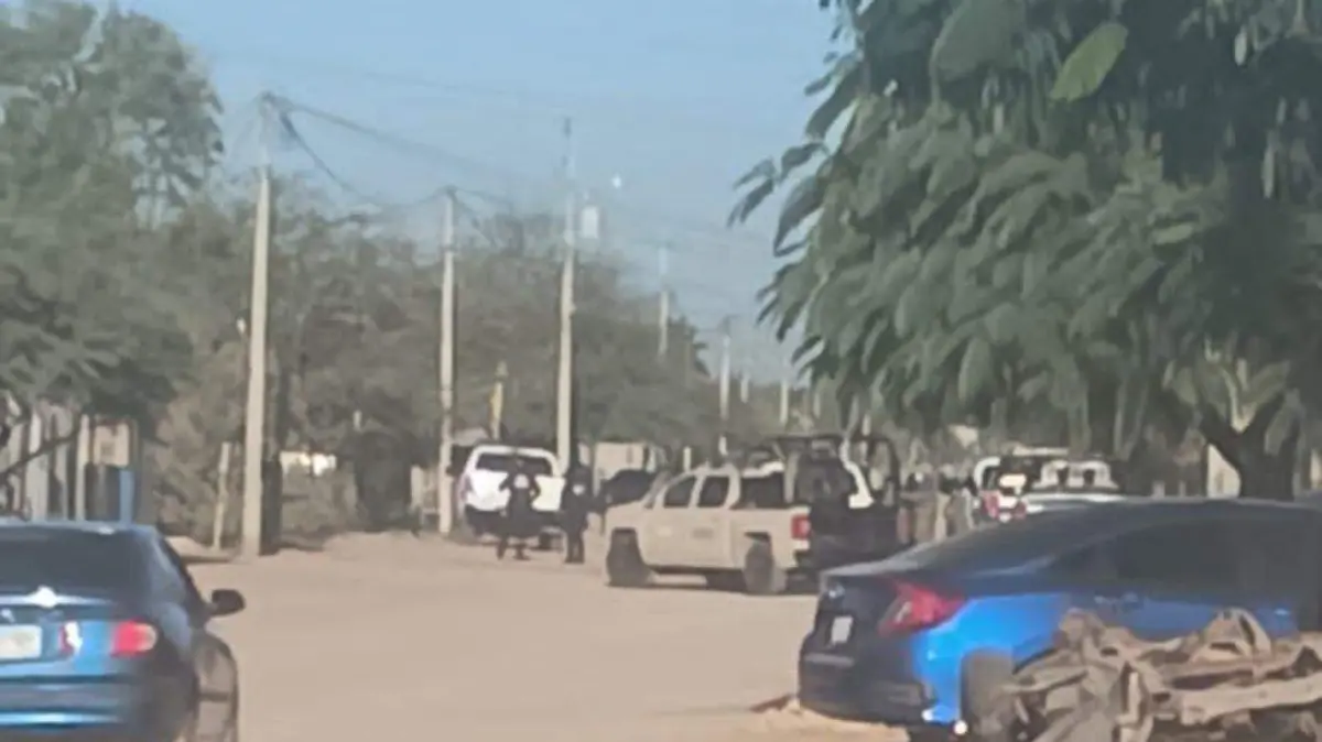 WhatsApp Image 2026-01-25 at 13.06.51