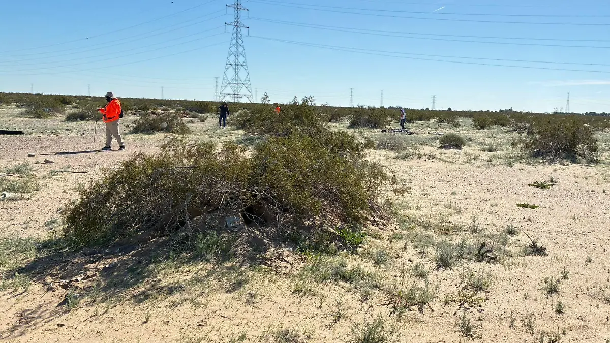 finaliza búsqueda de fosas clandestinas sin novedad