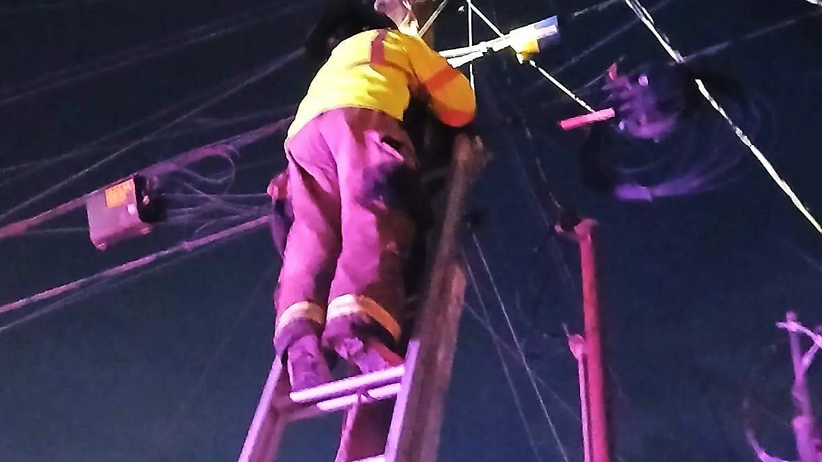 peligroso rescate de felino