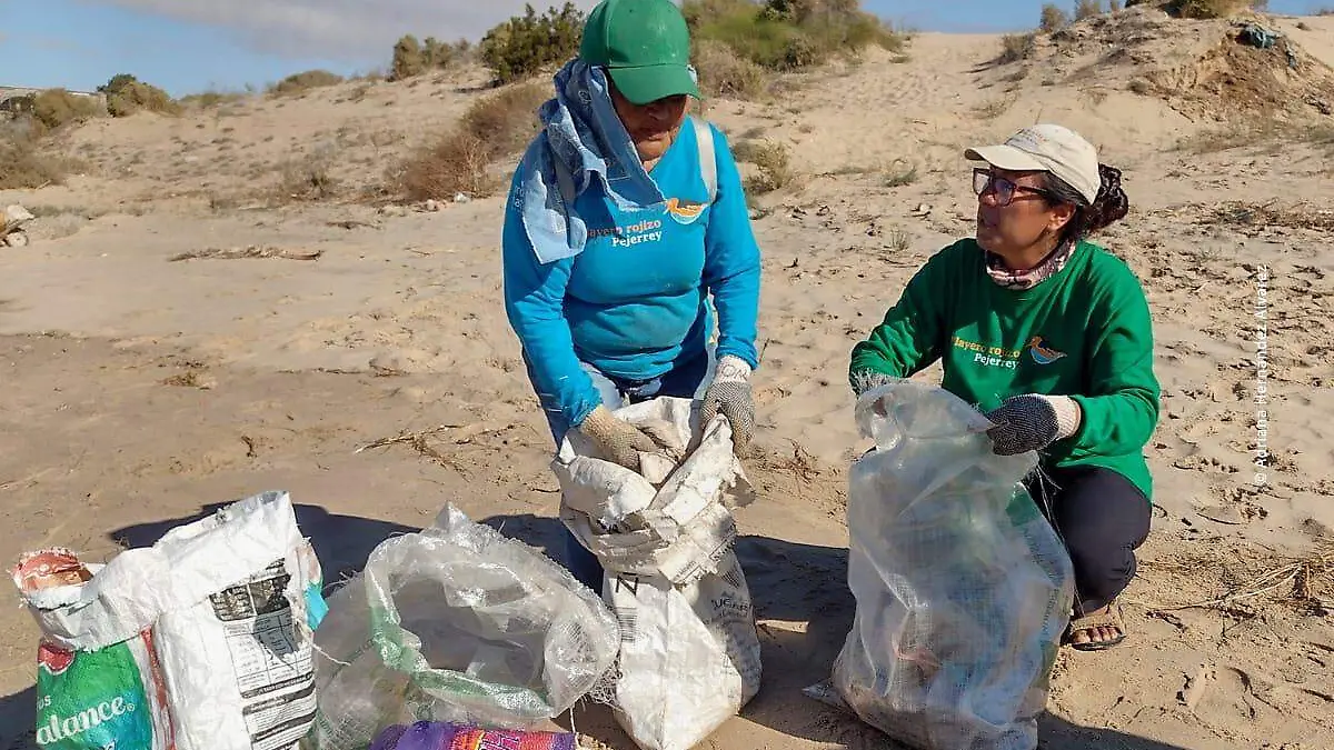 Plásticos contaminantes en productos con propósito (4)