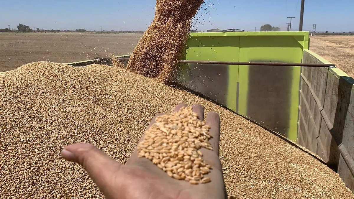 Trigueros para recibir el apoyo económico VF (1)