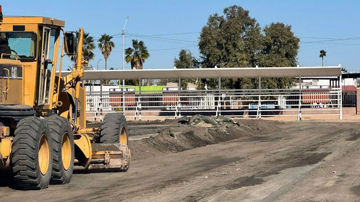 Reablitaran campos del bosque VF (2)