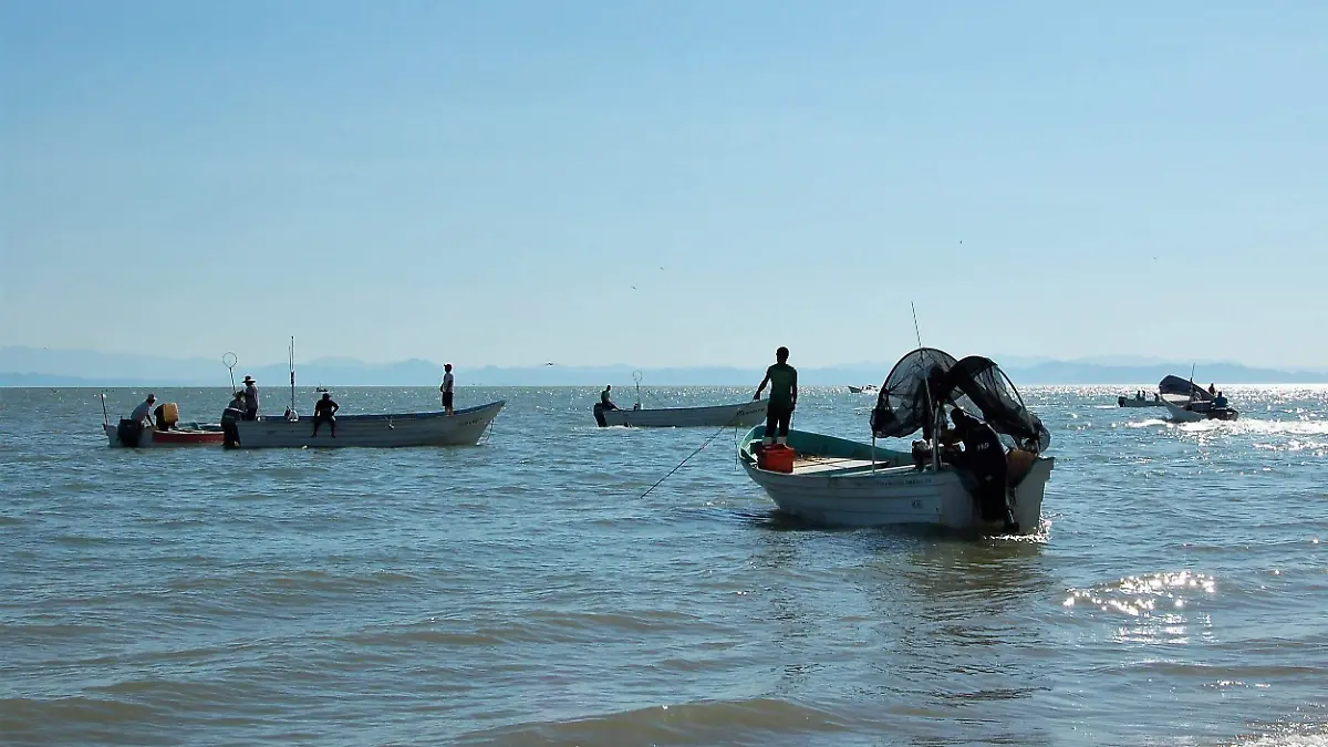 Delimitación del polígono para la protección de la vaquita marina. (2)