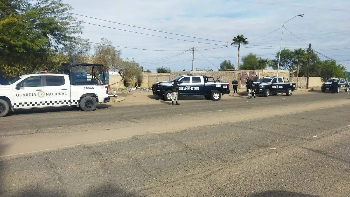 WhatsApp Image 2026-02-08 at 10.16.51