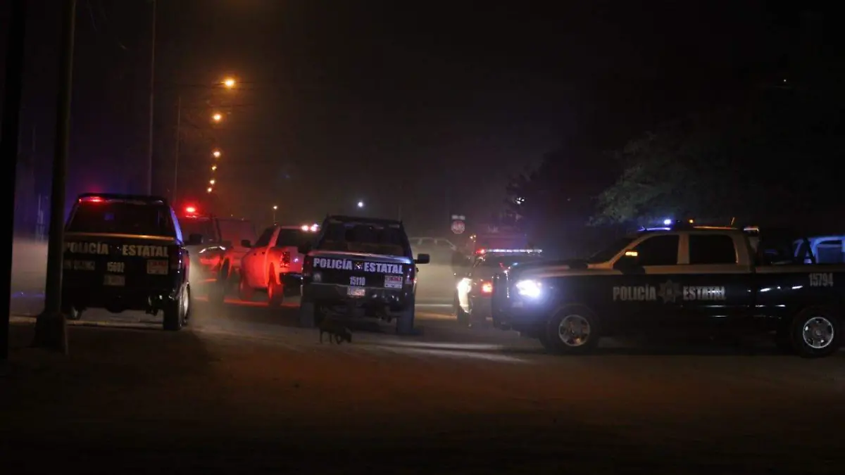 WhatsApp Image 2026-02-08 at 11.51.40