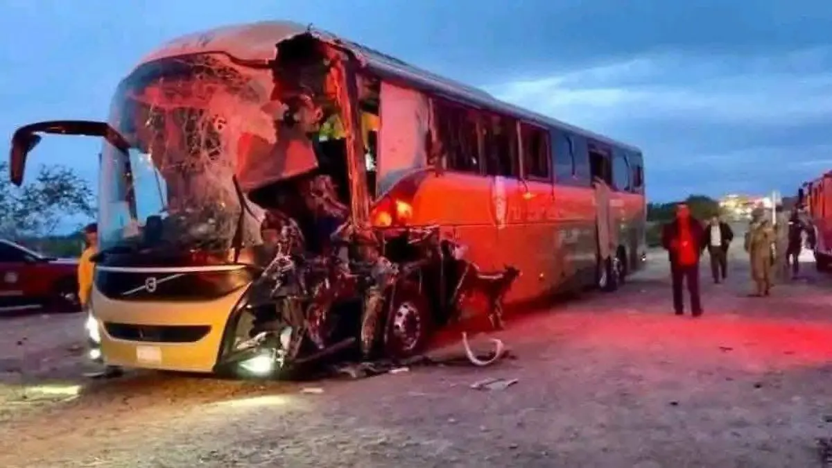 WhatsApp Image 2026-02-13 at 12.25.47 PM