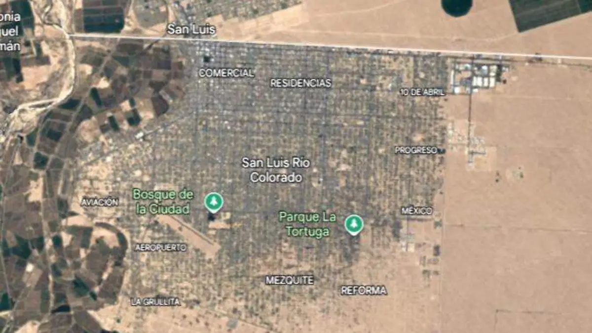 WhatsApp Image 2026-02-13 at 4.54.28 PM (1)