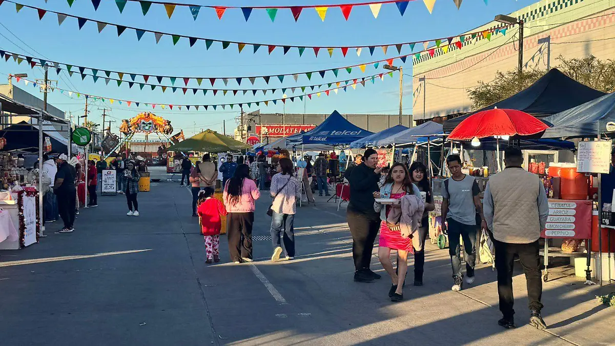 WhatsApp Image 2026-02-13 at 17.50.21