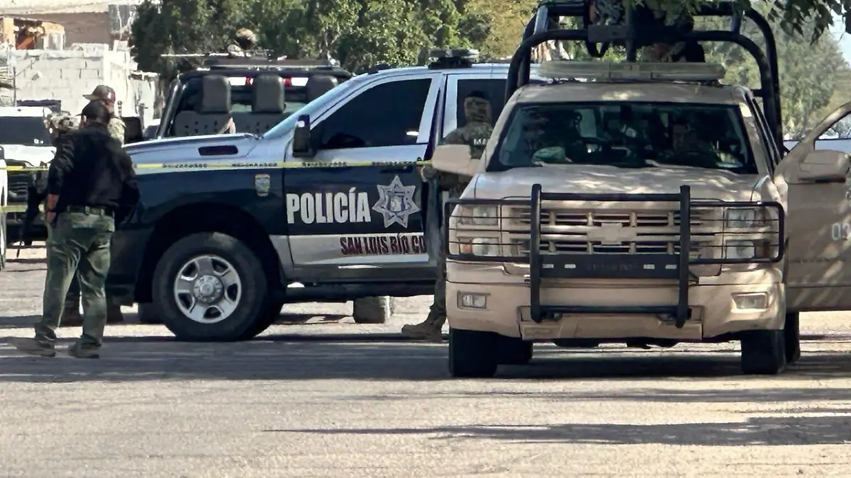 ec832c43-fb25-4f55-8d0e-47ac4d2ec6e0