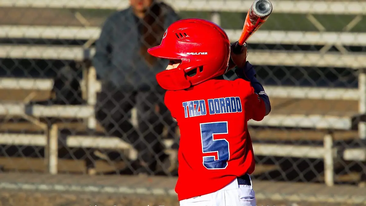 WhatsApp Image 2026-02-15 at 11.25.27