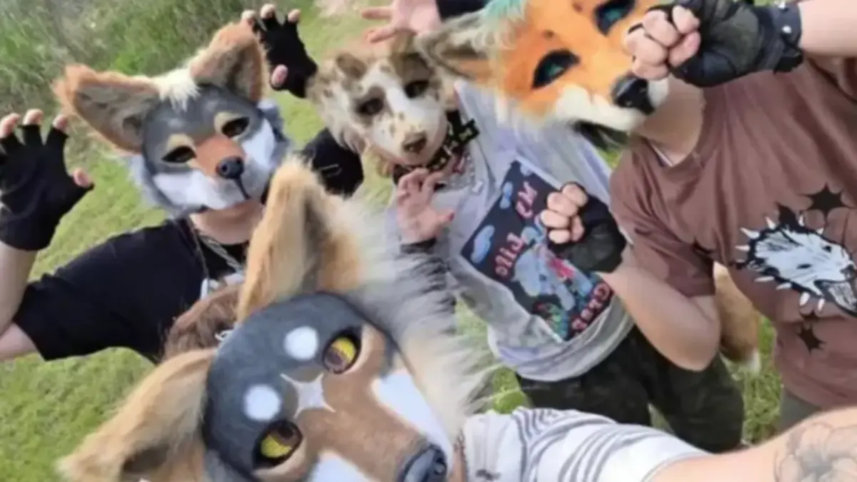 Screenshot 2026-02-17 11.34.51