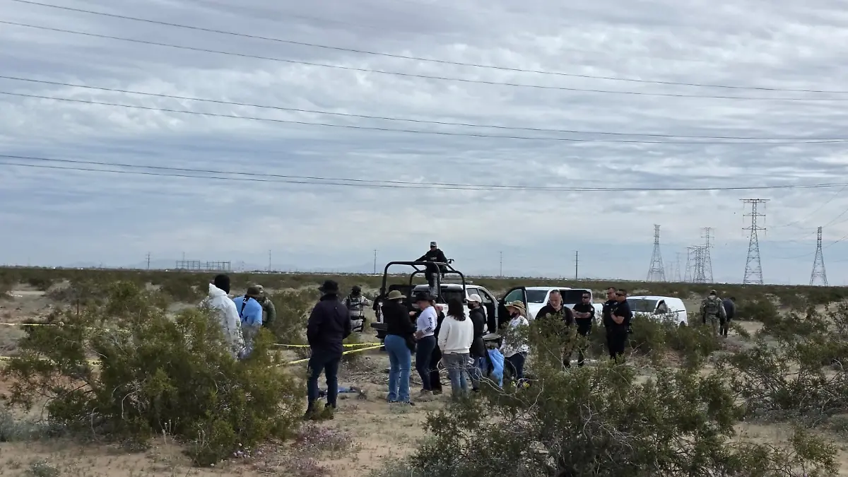 WhatsApp Image 2026-02-17 at 10.19