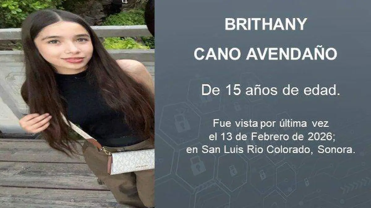 WhatsApp Image 2026-02-17 at 3.14.35 PM (1)