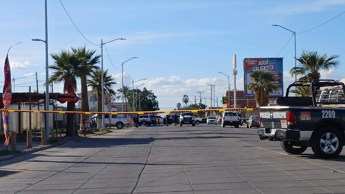 WhatsApp Image 2026-02-17 at 19.20.54