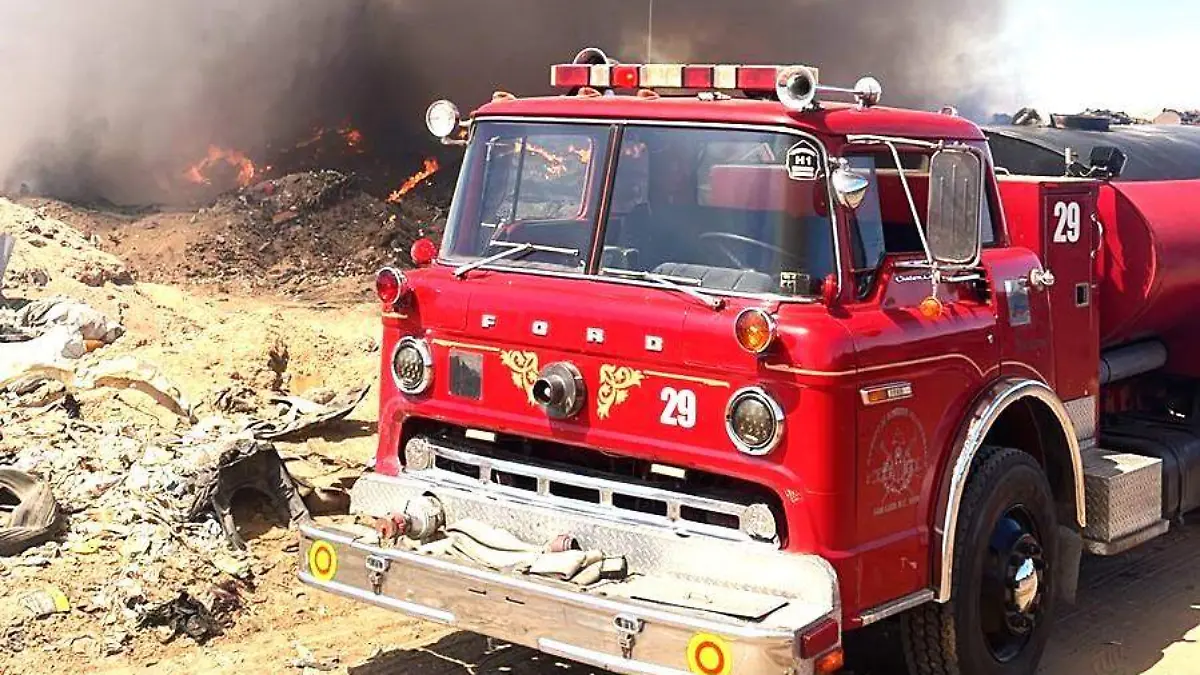 WhatsApp Image 2026-02-20 at 12.24.14 PM