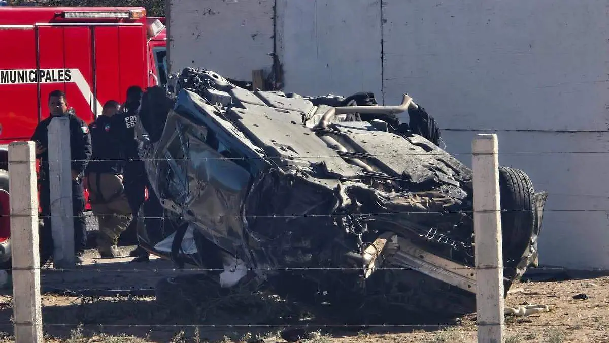 WhatsApp Image 2026-02-21 at 11.31.06 AM