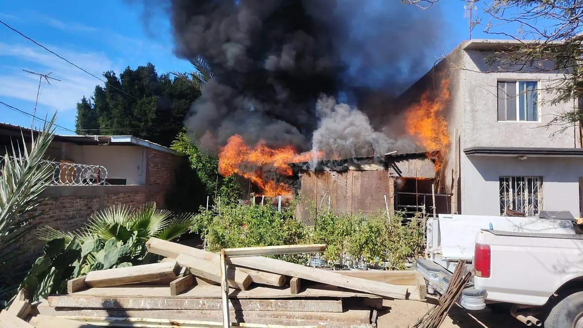 WhatsApp Image 2026-02-22 at 10.02.03