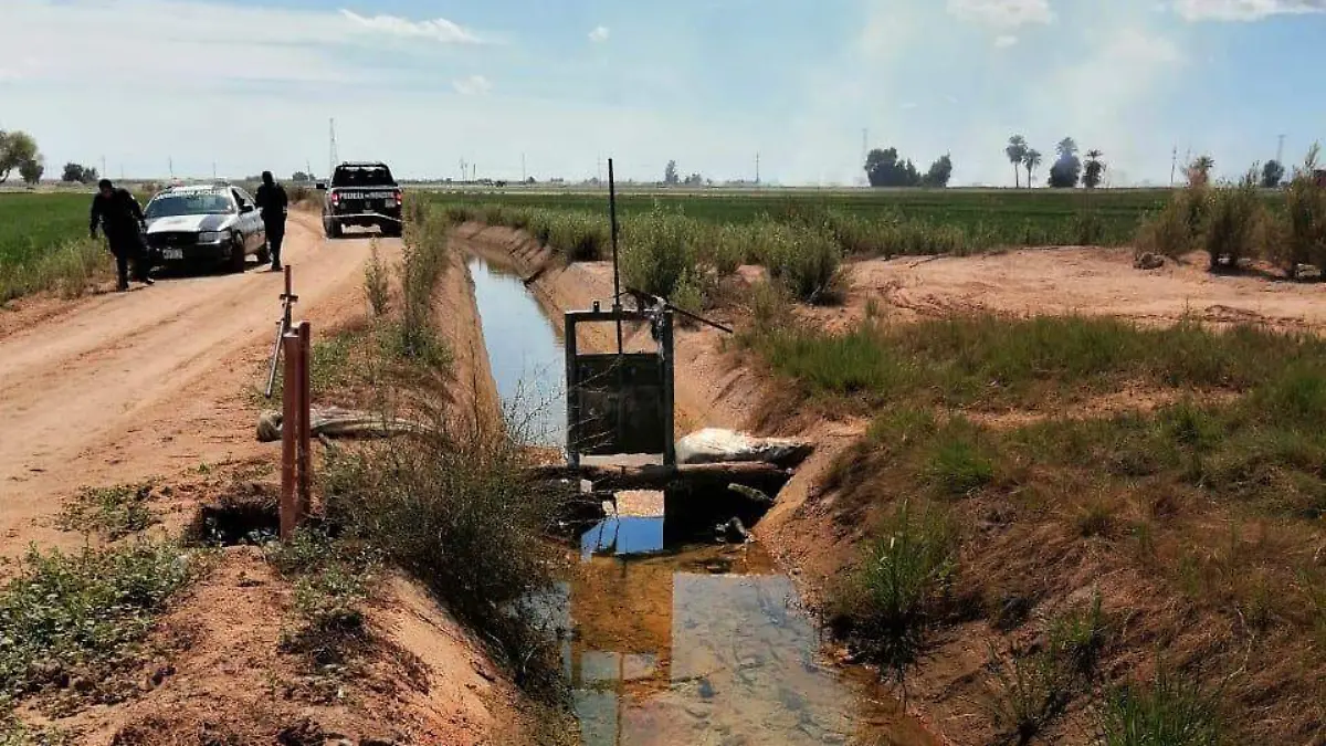 WhatsApp Image 2026-02-22 at 11.56.01 (1)