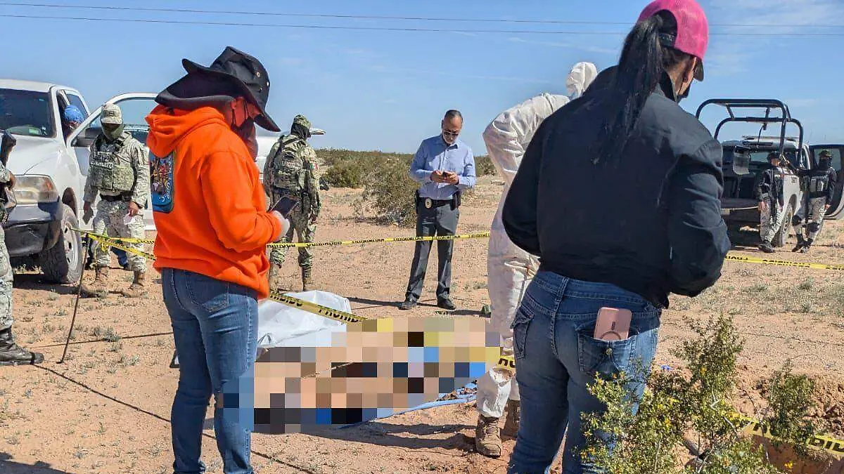 WhatsApp Image 2026-02-22 at 11.59.14