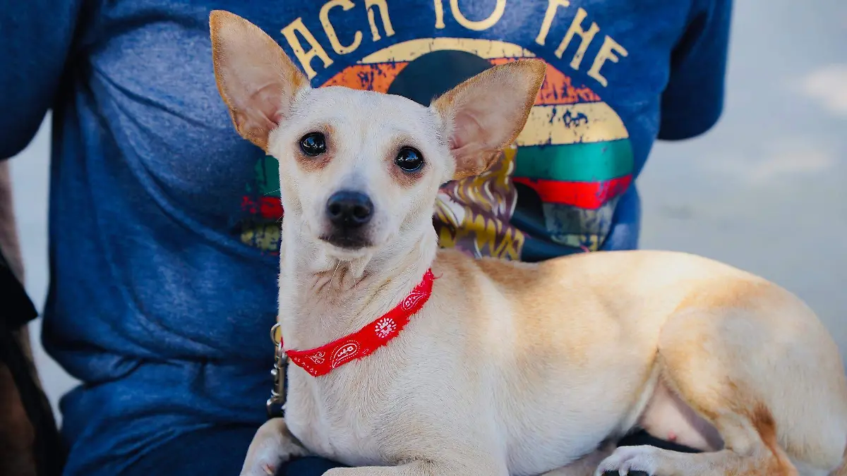 557670363_1339455684508879_39635057760120216_n