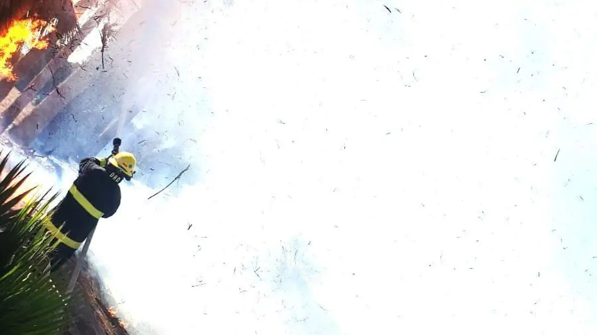 Incendio de palmeras