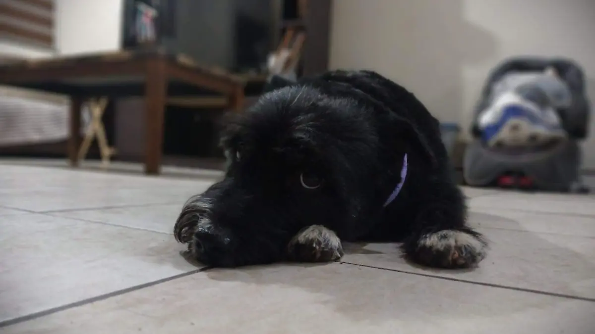 WhatsApp Image 2026-02-04 at 8.58.12 PM